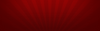 Primary Raster logo