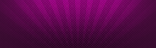Primary Raster logo