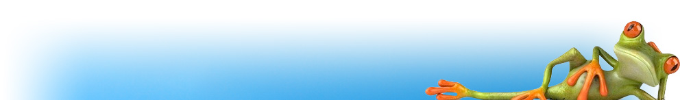 Primary Raster logo